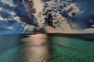 This image shows a photo that is too dark and blurry to go into production.
