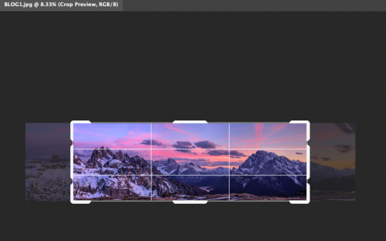Screen-Shot-2020-03-30-at-1.33.06-PM