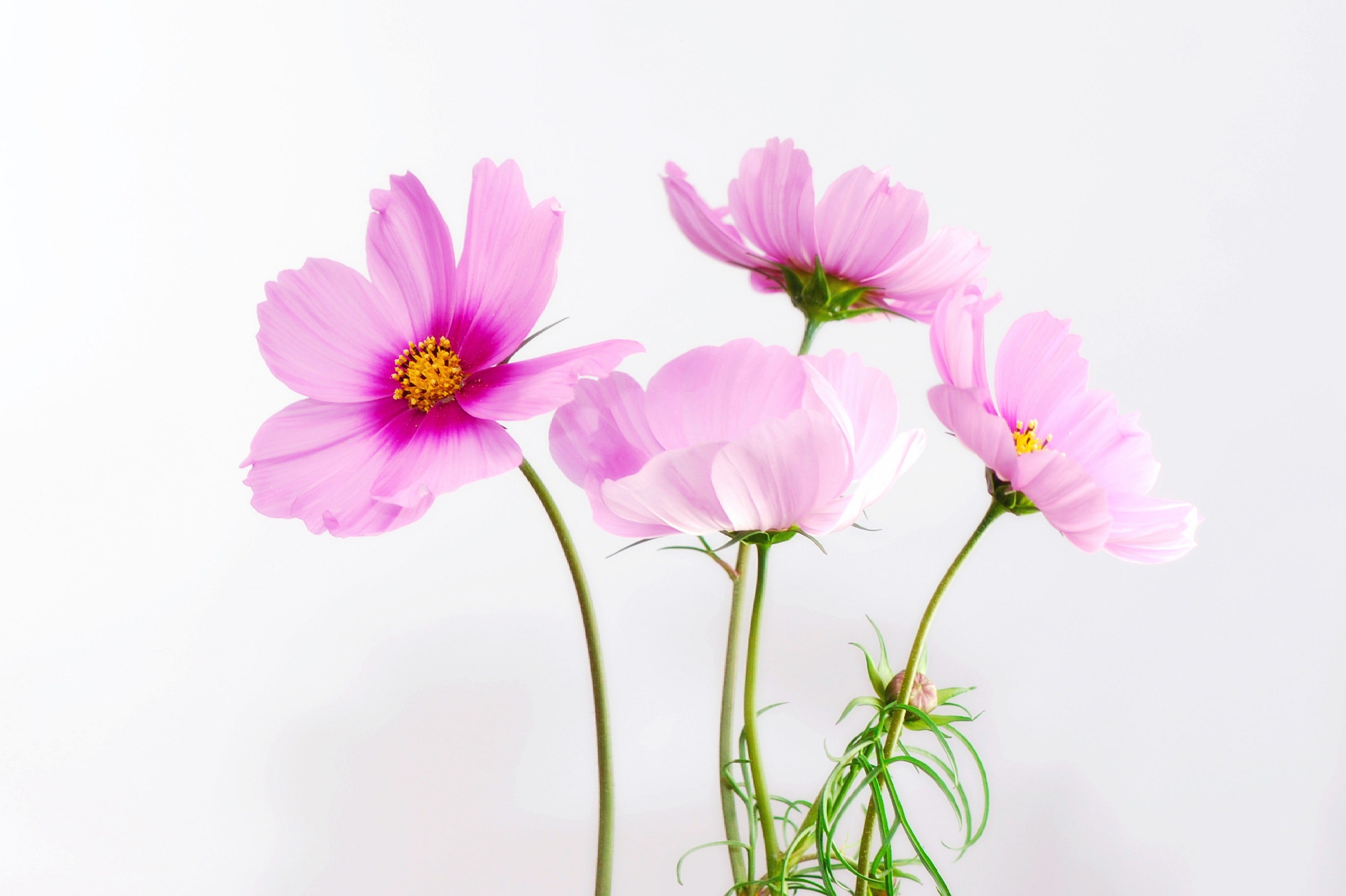 Spring Wall Art Ideas for Your Home