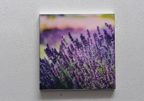 Fabric Wall Prints: A Changeable Alternative to Canvas