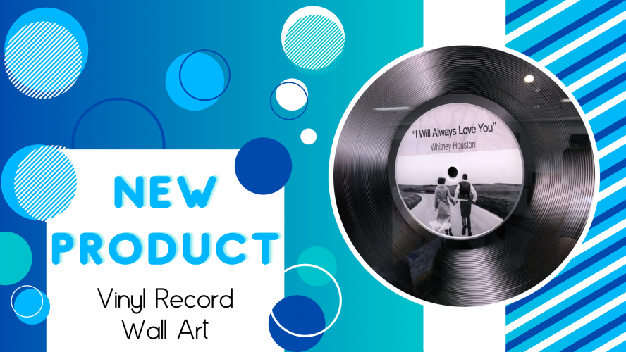 Vinyl Record Blog banner announcing the vinyl record wall art