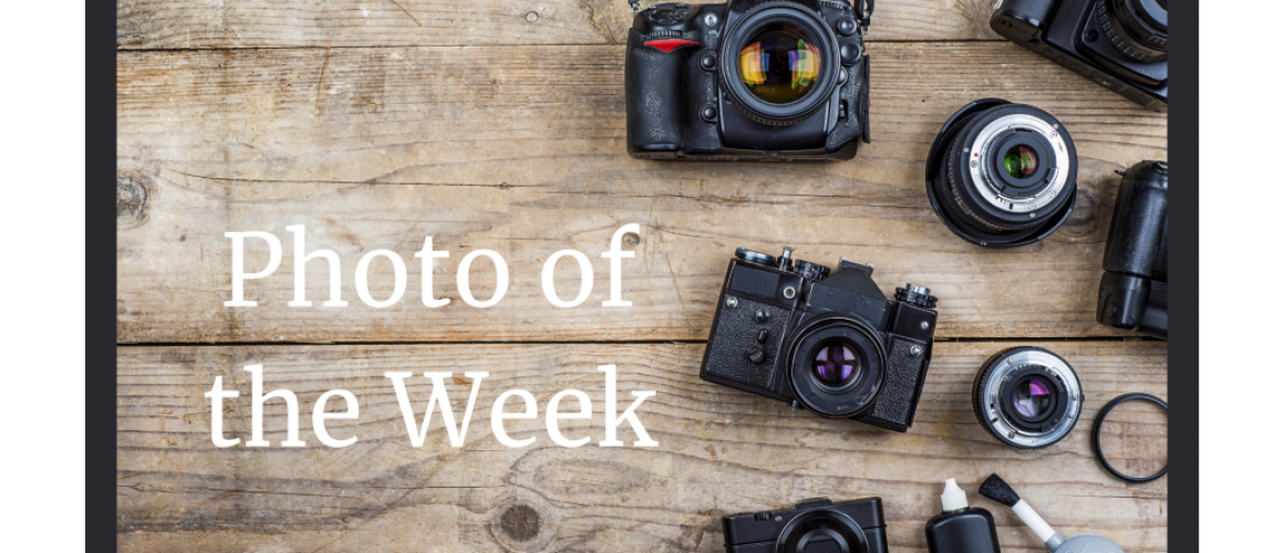 Photo of the Week