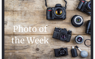 Photo of the Week