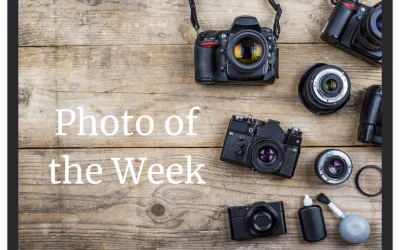 Photo of the Week