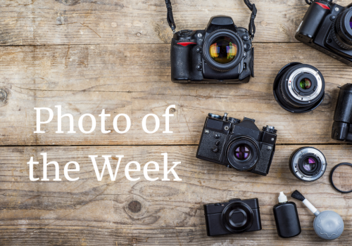 Photo of the Week Photo of the Week
