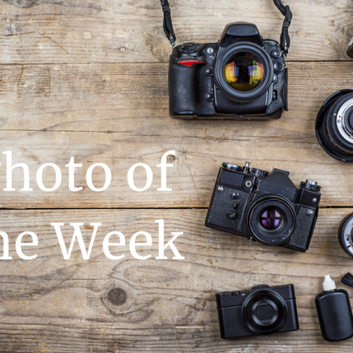 Photo of the Week Photo of the Week