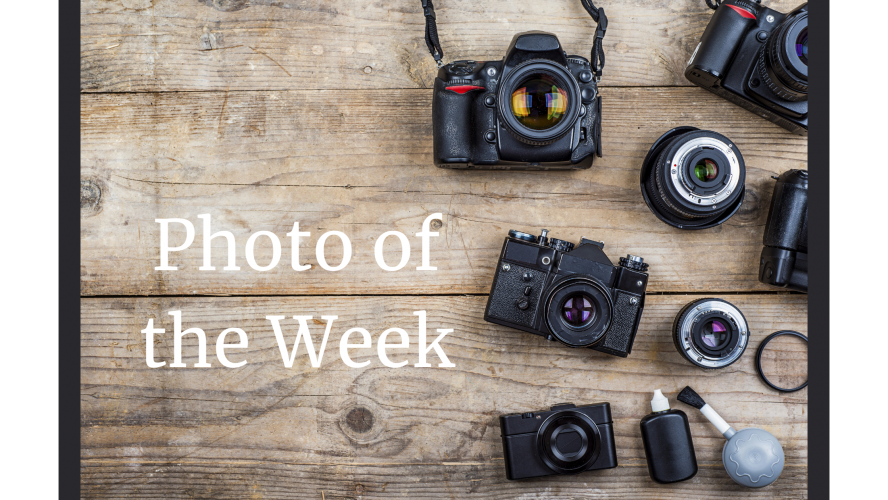 Photo of the Week Photo of the Week