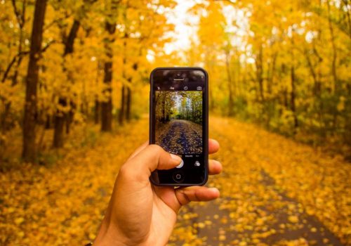 Fall Photography: How to Capture and Display Stunning Fall Time Photos as a Metal Art Print fall photography on an iphone