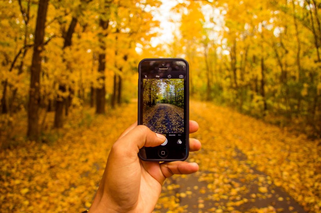 Fall Photography and How to Display Photos as a Metal Art Print