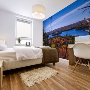 mural1_330429 mural1_330429