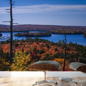 mural2_330429 mural2_330429