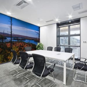 mural3_330429 mural3_330429