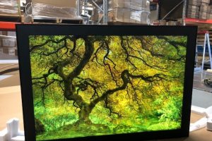 thumbnail_IMG_1369 (1)