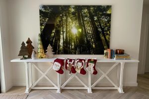 unnamed (14)s unnamed (14)s