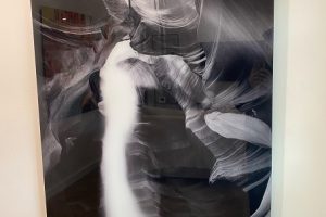 unnamed (16)s unnamed (16)s