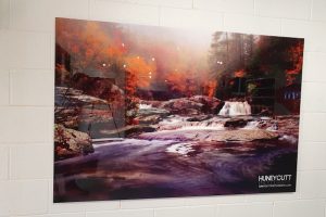 20190530_143557s 20190530_143557s