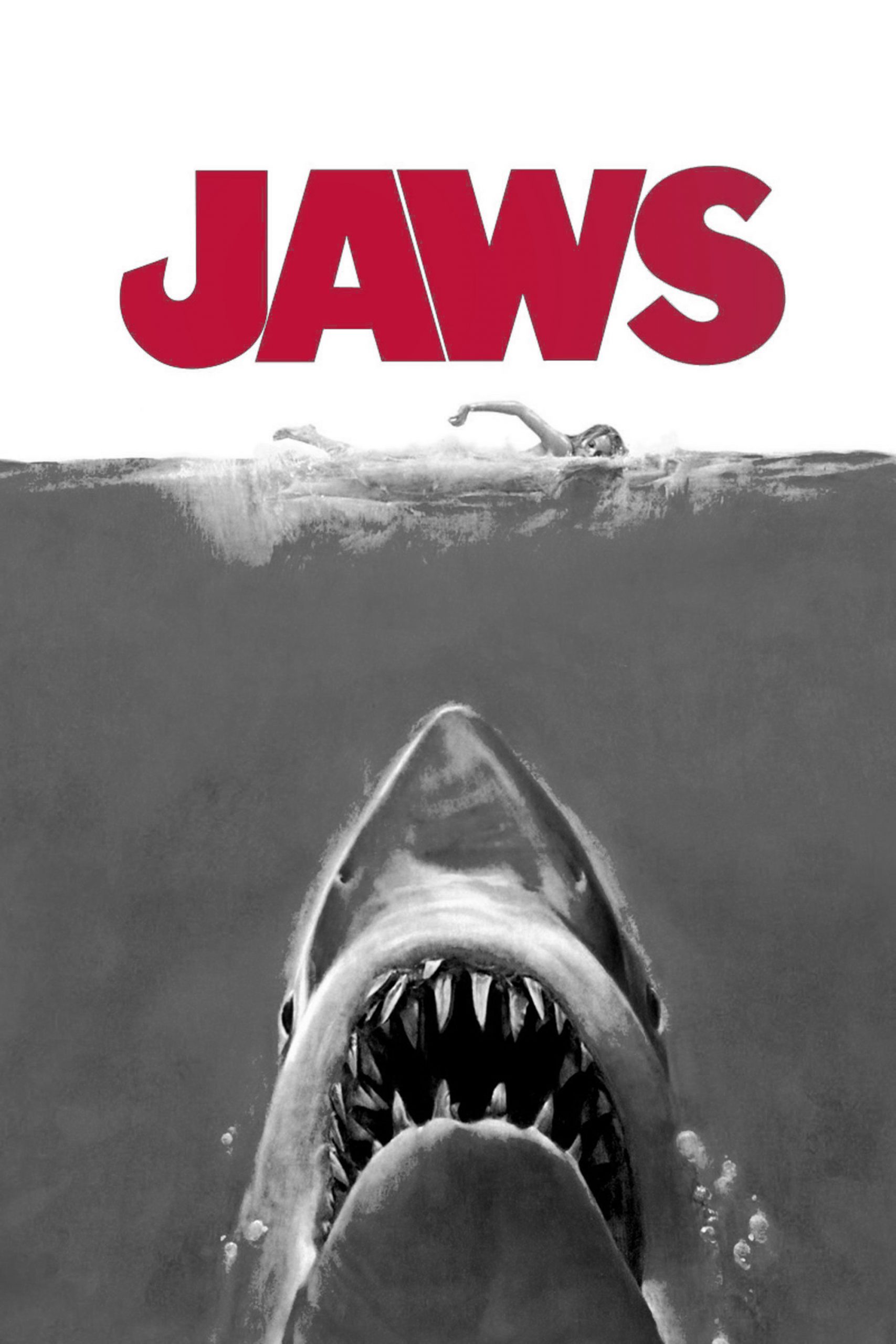 Create Custom Metal Posters with Big Acrylic Big Acrylic