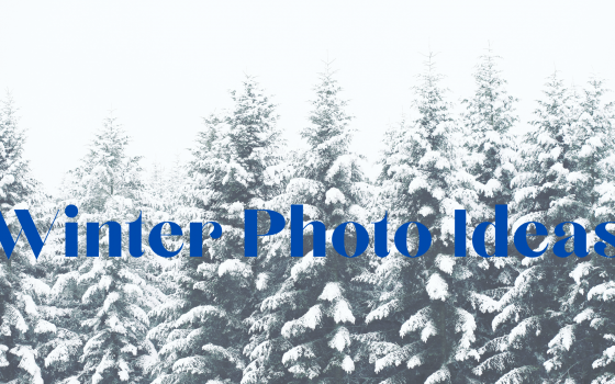 Winter Photos Winter Photos