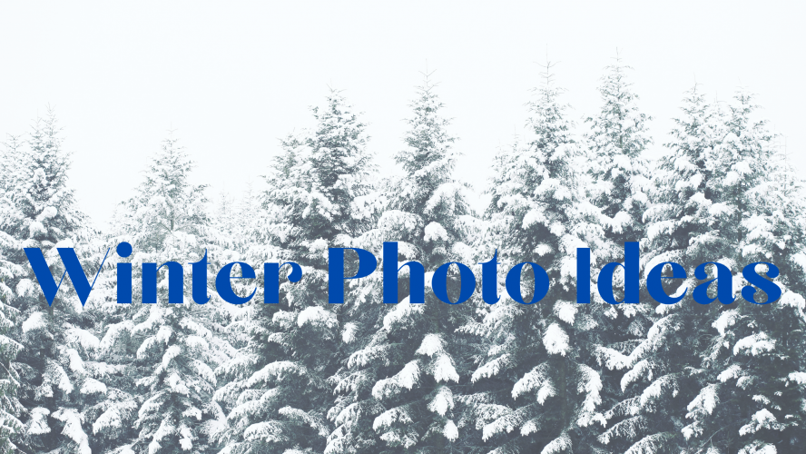 Winter Photos