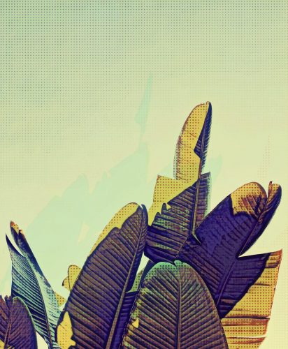 Pop-Art-Banana-Leaf