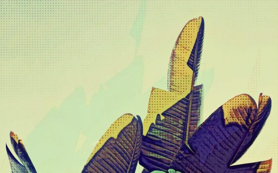 Pop-Art-Banana-Leaf Pop-Art-Banana-Leaf