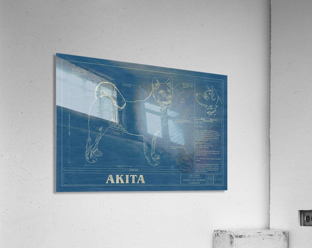 blueprint wall art of a dog