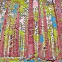 Abstract Acrylic Art Print: Strawberry Field