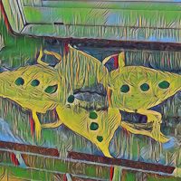 Abstract Acrylic Art Print: Flower Power