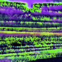 Abstract Acrylic Art Print: Streaming Green