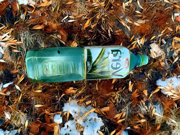 Abstract Acrylic Art Print: Backward Autumn