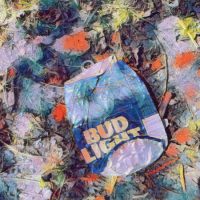 Abstract Acrylic Art Print: Busted Bud