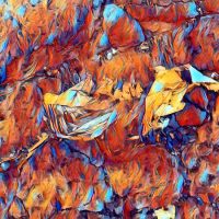 Abstract Acrylic Art Print: Crafty