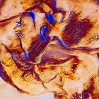 Abstract Acrylic Art Print: Elephant