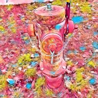 Abstract Acrylic Art Print: Hot Call