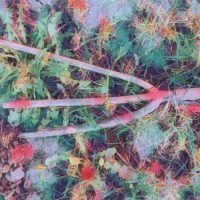 Abstract Acrylic Art Print: Make a Wish