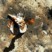 600_bigacrylic_porto Abstract Acrylic Art Print: Porto