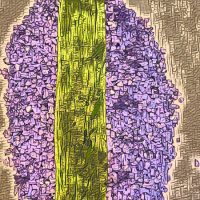 600_bigacrylic_road Abstract Acrylic Art Print: Road