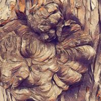 600_bigacrylic_tree_trunk Abstract Acrylic Art Print: Tree Trunk