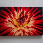 canvas_flower 1