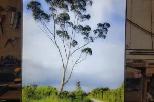 What our customers have created