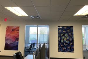 finimage10--low_res-scale-3_00x finimage10--low_res-scale-3_00x