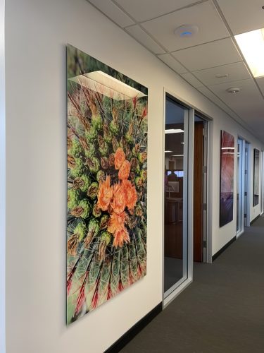 finimage16--low_res-scale-3_00x