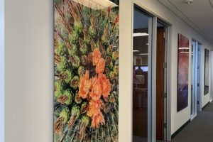 finimage16--low_res-scale-3_00x finimage16--low_res-scale-3_00x