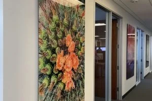 finimage16--low_res-scale-3_00x