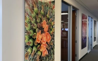 finimage16--low_res-scale-3_00x