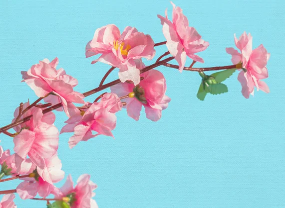 A classic look!
Images are printed directly on a premium fine art matter canvas, unveiling amazing colour contrasting with a surface shine that protects from fading.
Easy to hang.
Often found in traditional homes.
Custom sizes available.