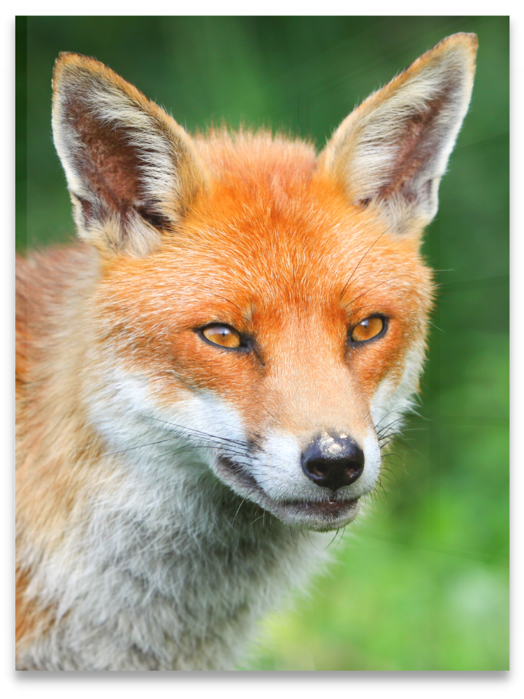 Float off the wall hanging Float off the wall hanging