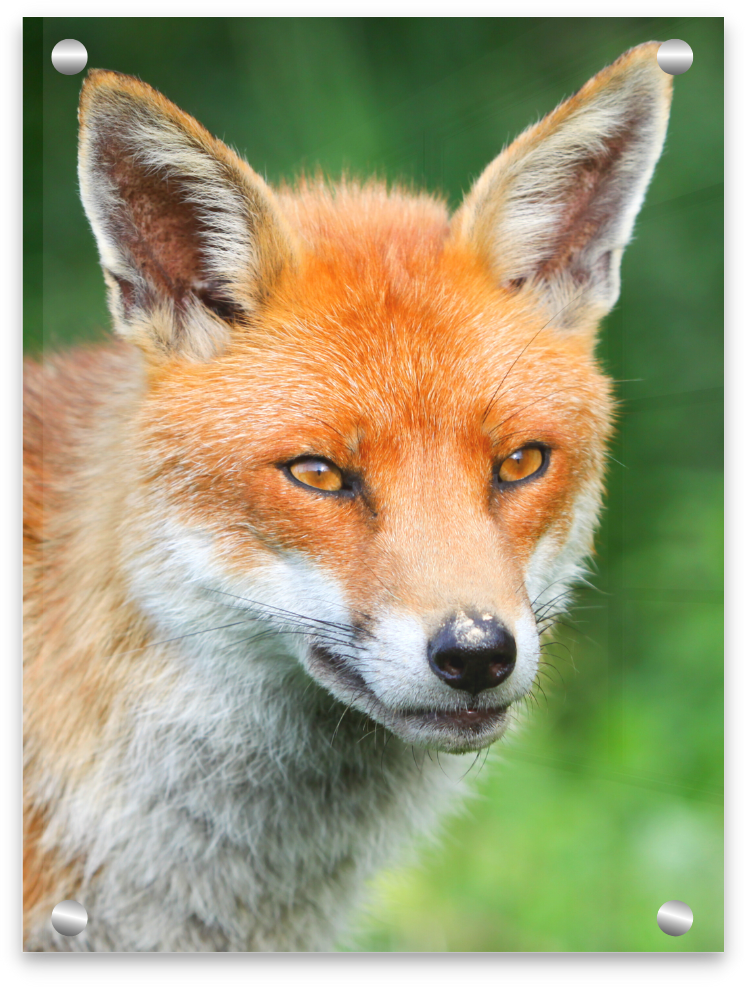 Standoff Hanging Standoff Hanging