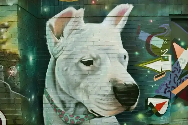 GRAFFITI ARTISTS AROUND THE GLOBE
