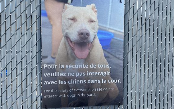 IMG_2310-scaled IMG_2310-scaled